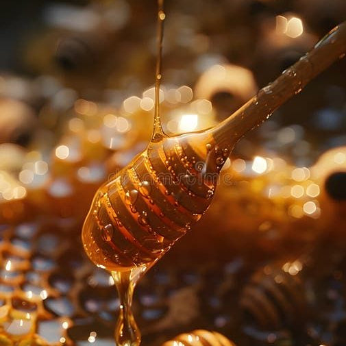 Honey